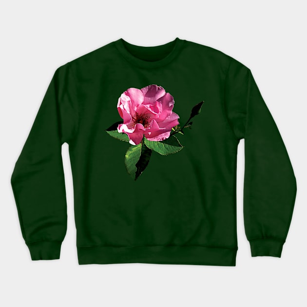 Roses - One Pink Rose with Bud Crewneck Sweatshirt by SusanSavad